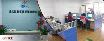 China Hubei ZST Trade Co.,Ltd. Perfil da companhia