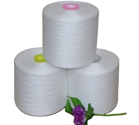 20/2, 20/3, 40/2 40/3 Branco bruto 100% poliéster Anel de fios de espuma para tintura